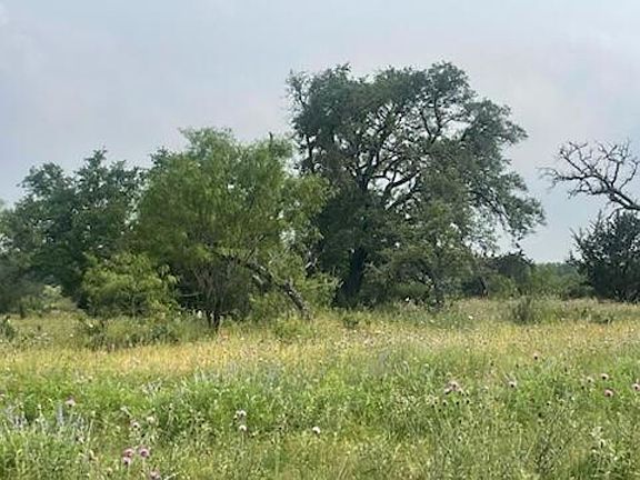3rd image of 175 Heartleaf Dr