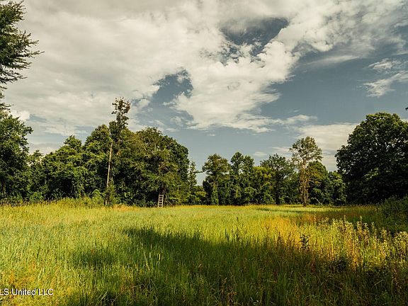 29th image of this home