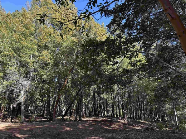 No Address Apn Only 16 540 30 0, Happy Camp, CA 96039