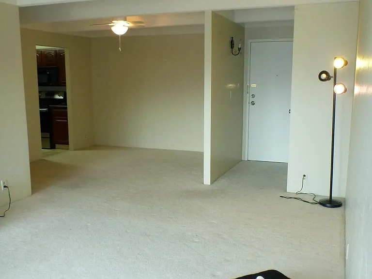 Entry, living room and dining room
