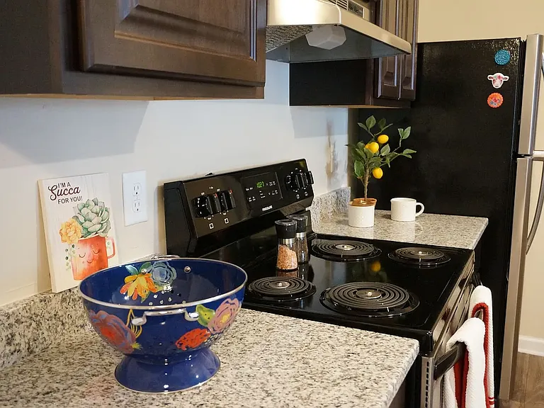Pembroke Crossing Apartments (825 Crossing Court #103, Virginia Beach, VA 23455) — Photo 8