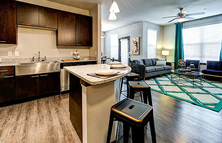 The Oasis at Pavilion Park Apartments — Photo 4