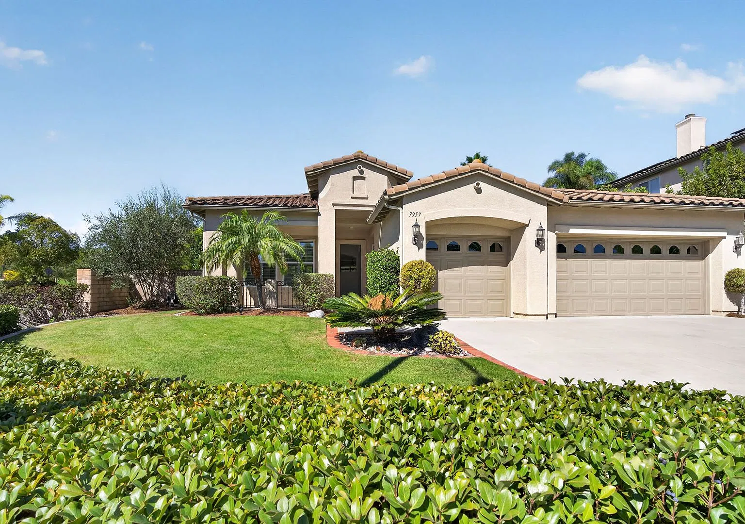 7957 Paseo Membrillo — Photo 1