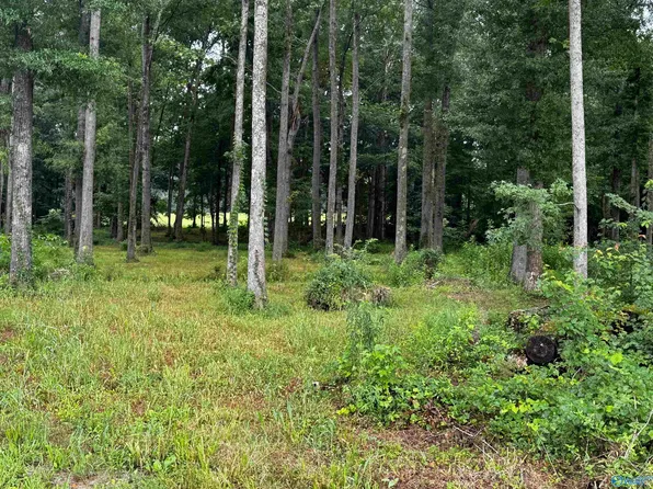 Oakley Chapel Rd, New Market, AL 35761