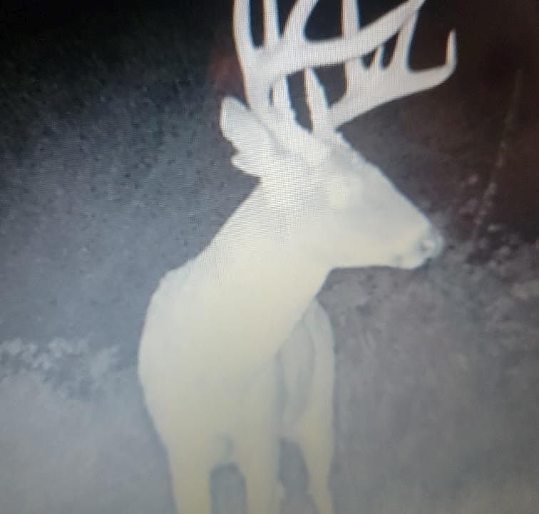 1st image of 0 225th St