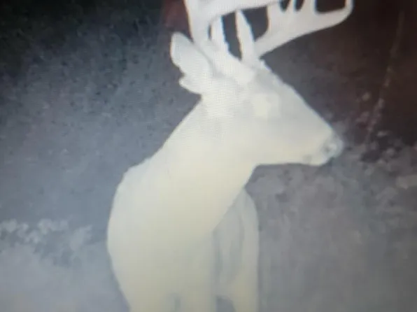 0 225th St, La Belle, MO 63447