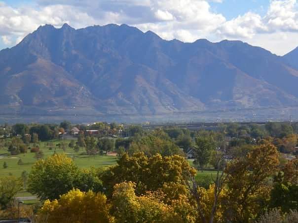 View from the back deck
