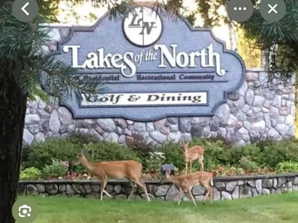 185 Forestgrove Court Rd, Elmira, MI 49730