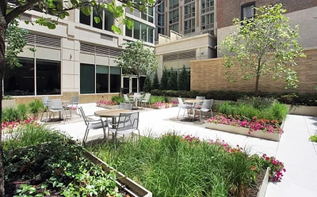 Rented by Citi Habitats | media 8