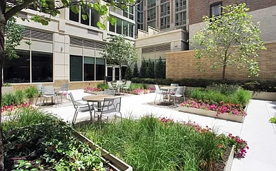 Rented by Citi Habitats