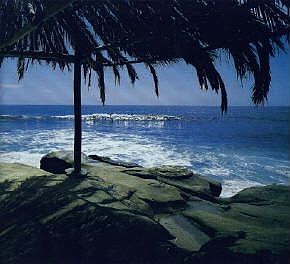 Wind 'n Sea Beach