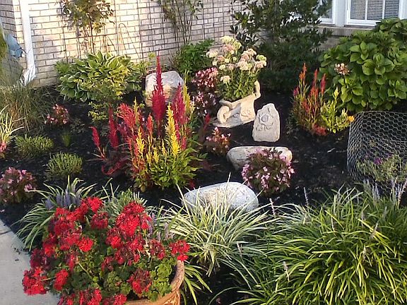 Front garden in summer