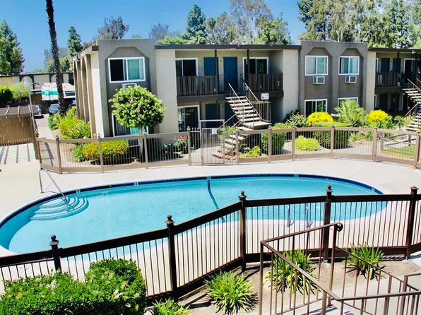 Olive Tree Apartments