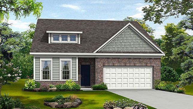 Elevation Image 1.