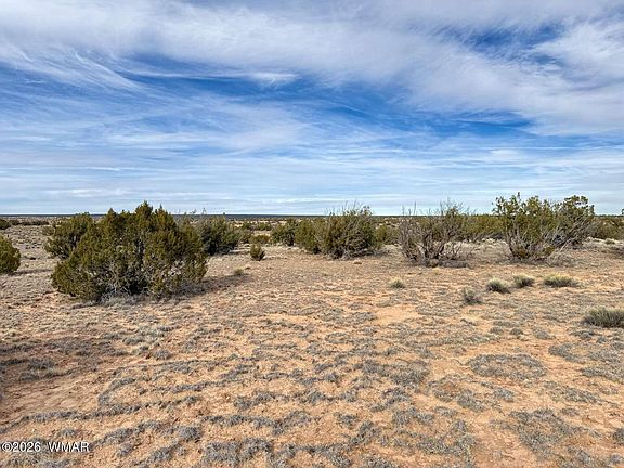 2nd image of 78 Sierra Highland Rd