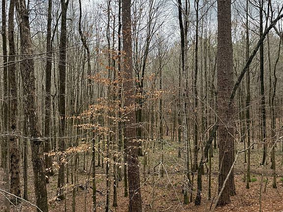 2nd image of 0 Highway 15