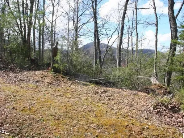 4350 Carolina Cove Way, Pigeon Forge, TN 37863