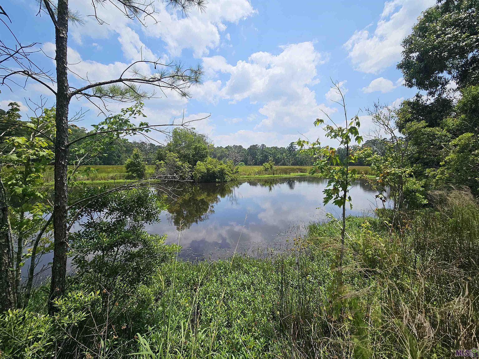 Chaney Road & A LOT A23, Zachary, LA 70791 MLS 2023016088 Zillow