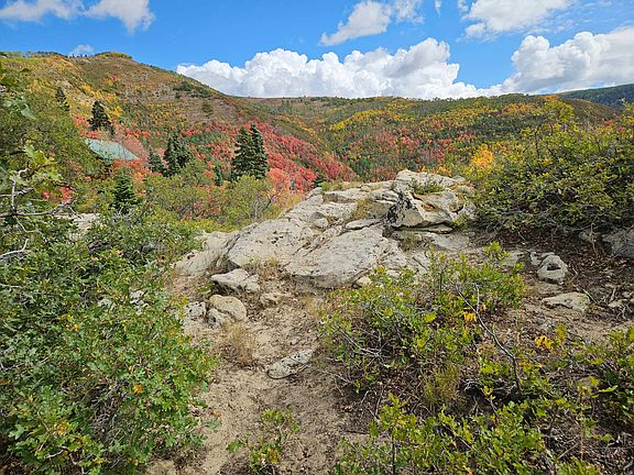 2nd image of 30 E Deer Valley Dr S