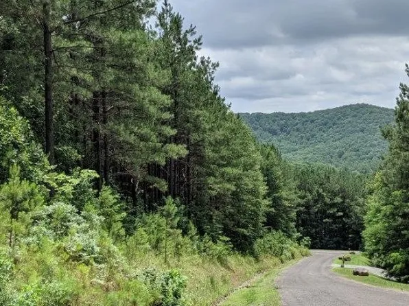 7 Ridge Top Dr, Ellijay, GA 30536