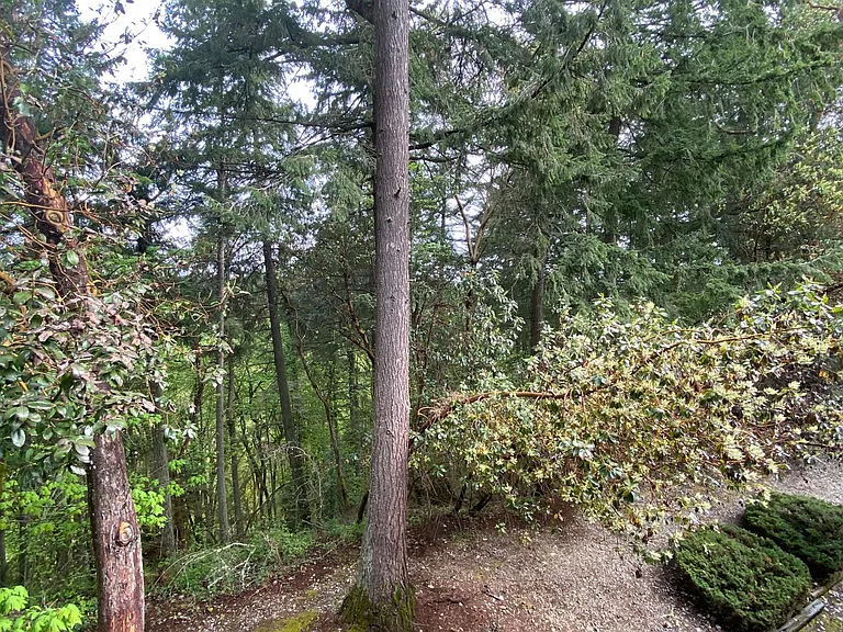 8609 Zircon Dr SW #F5 — Photo 7