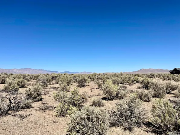 246 Finch Pl, Smith Valley, NV 89430