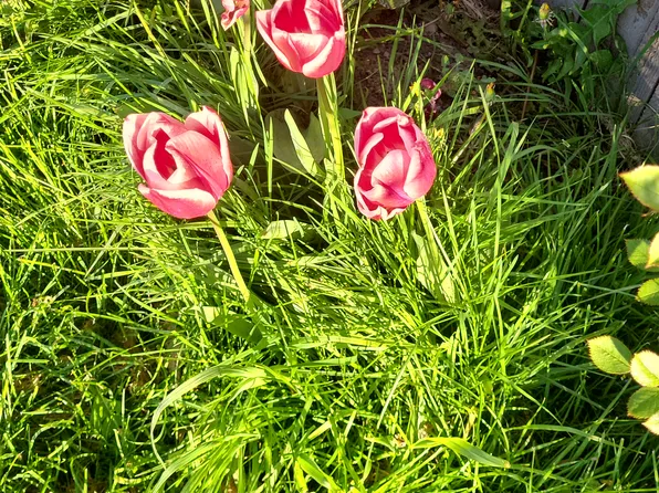 119 S Rife St #B, Aransas Pass, TX 78336