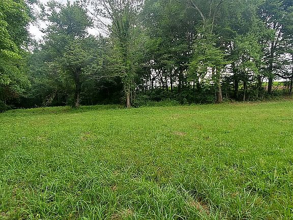 Cleared land and wooded