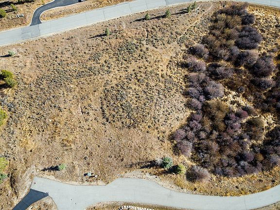 3rd image of 112 Silver Dollar Dr