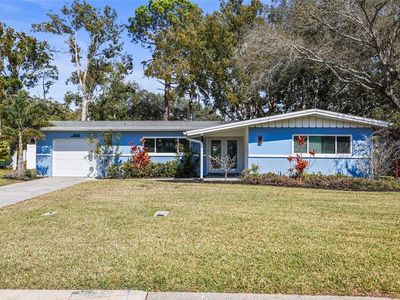 1042 Idlewild Dr N, Dunedin, FL, 34698