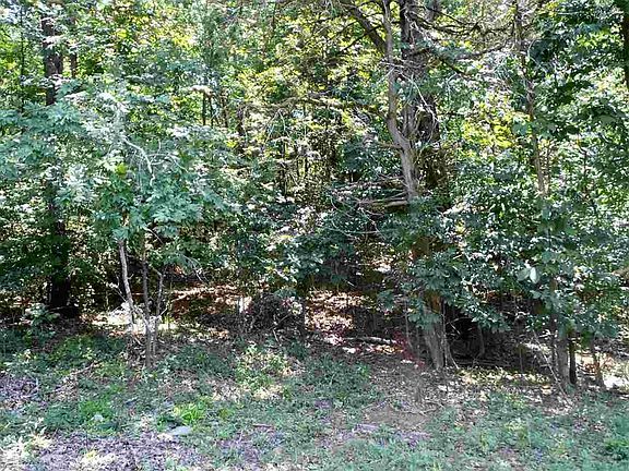 4th image of 319 Chickasaw Dr