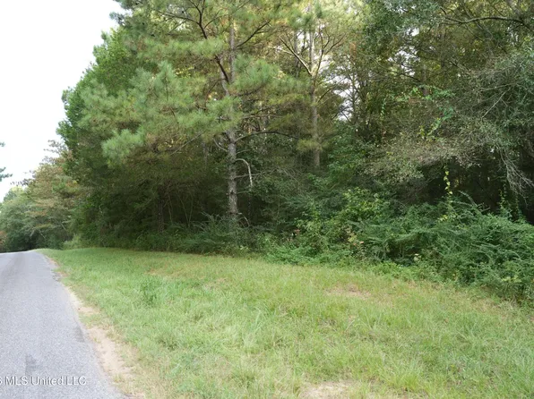 County Road 16, Louin, MS 39338