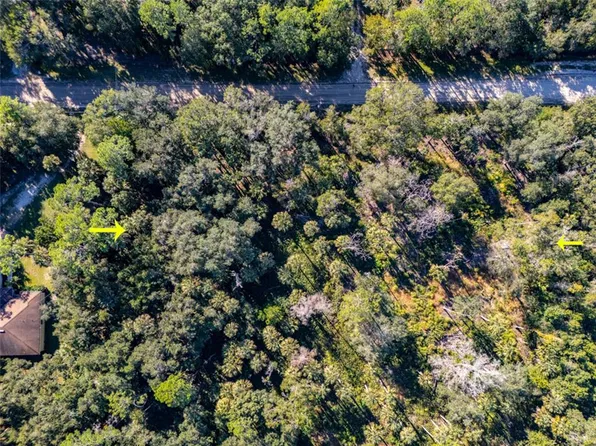 2107 BAYBERRY STREET LOT 11, BUNNELL, FL 32110