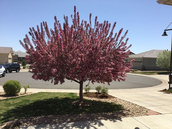 3rd image of 15950 Vermillion Way