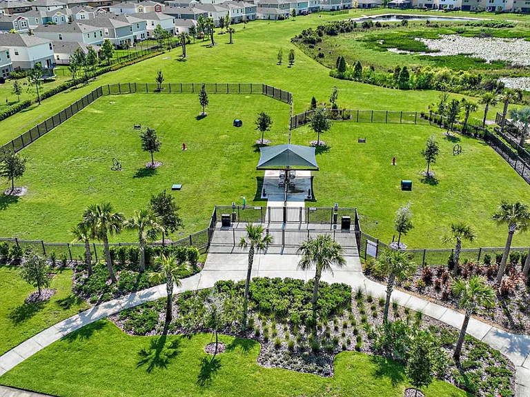 Dog Park