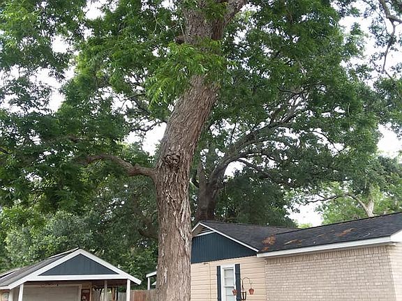 4th image of 1051 Brazosport Blvd N