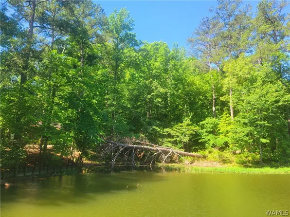 15 Freemans Bend Rd, Northport, AL 35475