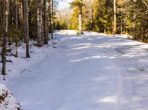 10-4M Forest Hill, Surry, ME 04684