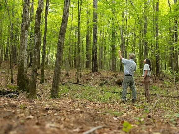 4th image of Truesdale Rd