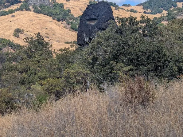 59002 George Washington Rock Rd, Leggett, CA 95585