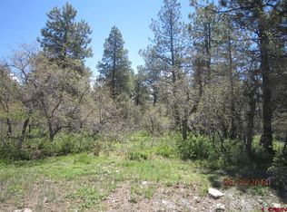 1476 Oren Rd, Pagosa Springs, CO 81147