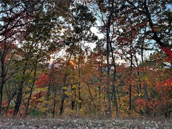 264 Stirratt Rd Lot 264, Ranger, GA 30734