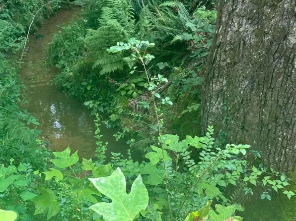 9850 Henderson Mountain Rd, Fairmount, GA 30139