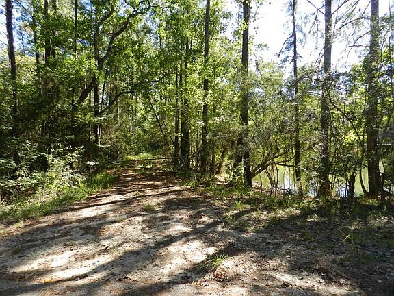 2nd image of Pat Fitzmorris Rd