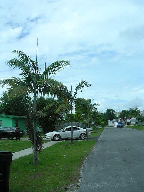 The block