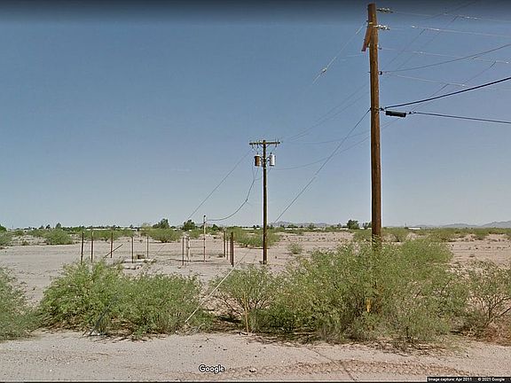 3rd image of 0 W Cactus Wren