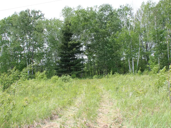 (undisclosed Address), Pine City, MN 55063