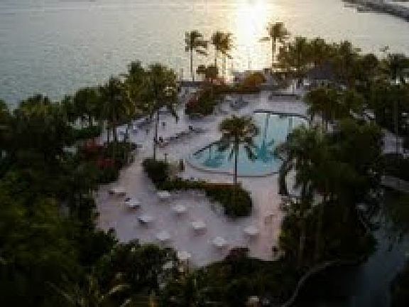 Landscape Pool Area