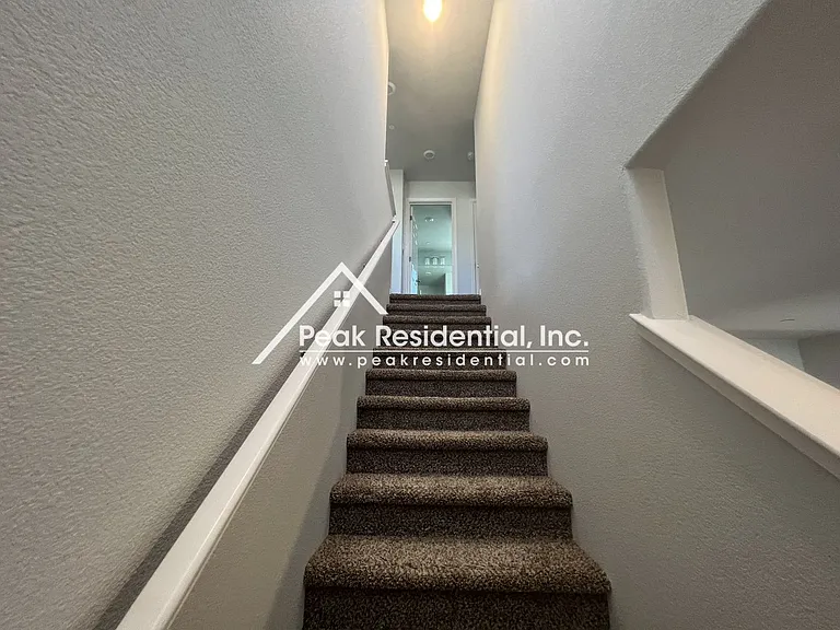 8112 Creeping Willow Ln — Photo 11