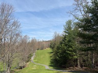 33 Greenstreet Dr, Traphill, NC 28685